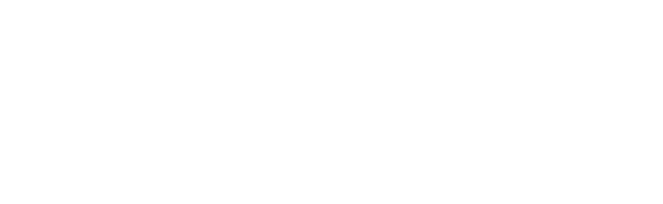 logo InstallateurInsertCheminee
